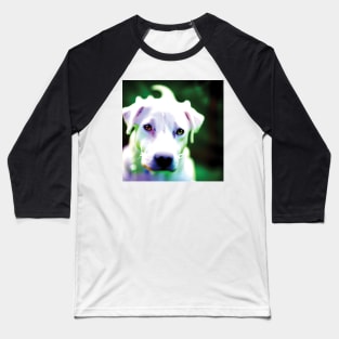 Orchid Face Doggo Baseball T-Shirt